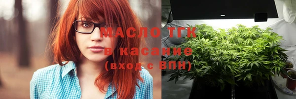 индика Балабаново