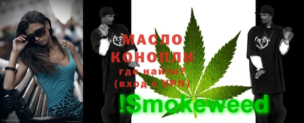 индика Балабаново