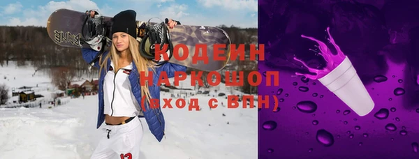индика Балабаново