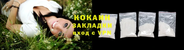 индика Балабаново