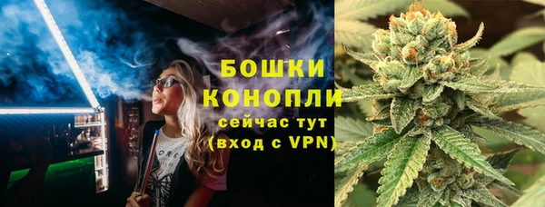 индика Балабаново