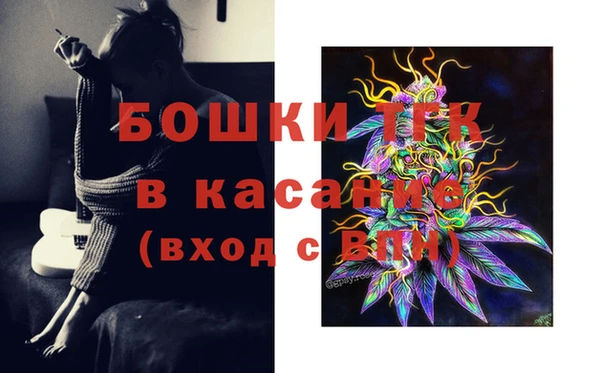 индика Балабаново