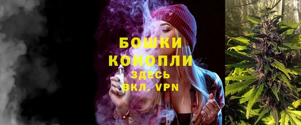 индика Балабаново