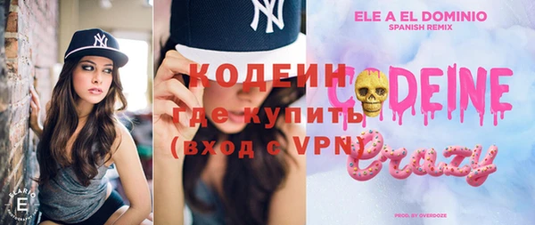 индика Балабаново