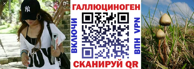Галлюциногенные грибы Psilocybe  как найти   Чистополь 